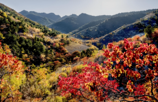 辽宁25项举措优化自然资源领域营商环境  