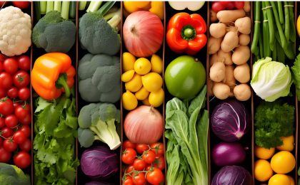 谁来养活中国？总书记给出坚定回答