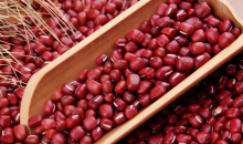 红小豆基因研究获突破