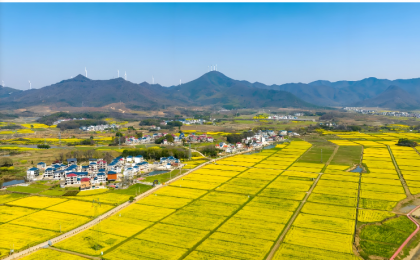 江西乡村旅游热潮背后的振兴密码   
