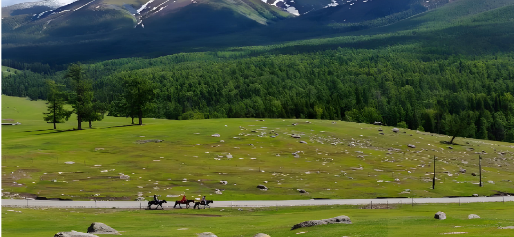 阿勒泰羊闯出热销路