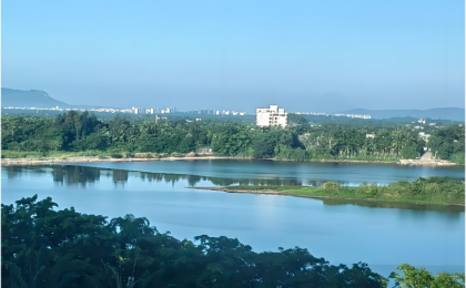 深山“小叶子”，飞向国际大舞台    