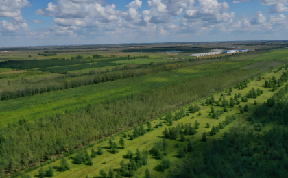 吉林“十四五”完成国土绿化1190万亩  