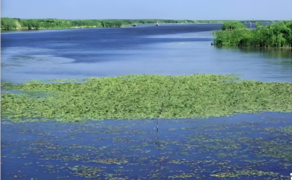 如何理解持续建设国家生态文明试验区，建设美丽中国先行区 
