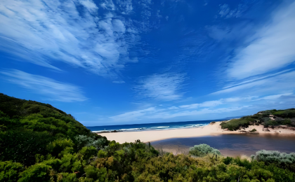 《海岸线呼吸》：呈现海岸线生态之美 