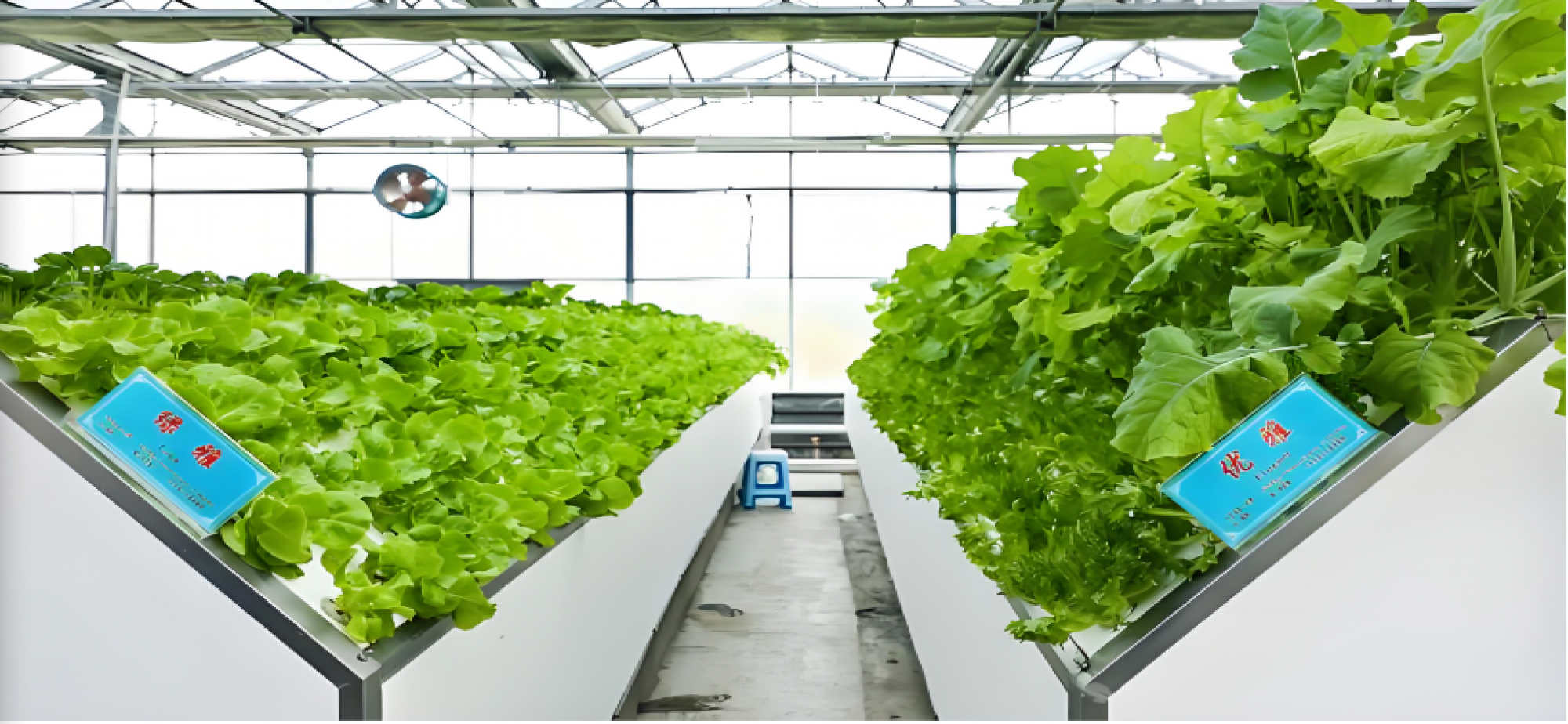 推动“汗水农业”向“智慧农业”转型升级