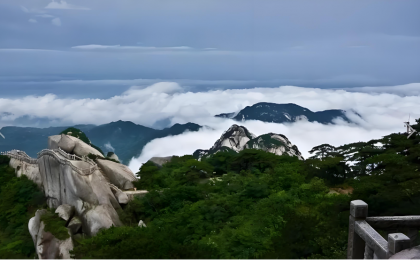 池州九华山：云海漫山美如画  