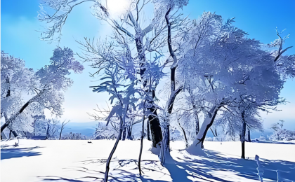  “好天气”门槛更高了    