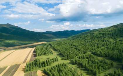 去年完成营造林356.3万公顷  