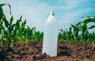 我国科学家发现“零污染”微生物除草剂  