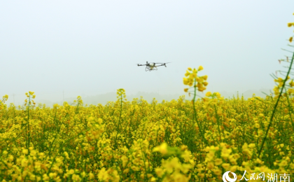 田埂上的春耕会，勾勒三湘好“丰”景    