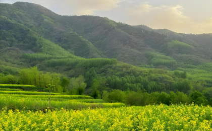 把绿水青山刻在今天、刻进未来  