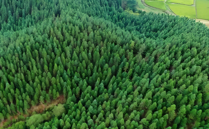 因地制宜做好增绿文章    