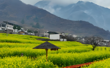 绿色获得感从何而来