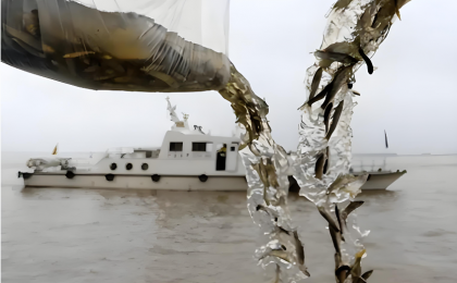 长江水生生物总体恢复向好 禁渔成效明显  