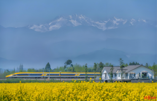 四川绿色贷款超2万亿，生态价值变现有了新路子  