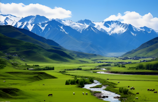 新疆挂牌督办六起破坏林草资源典型问题