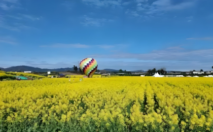 从“赏花经济”到“四季经济”  ——“经济新活力”系列评  