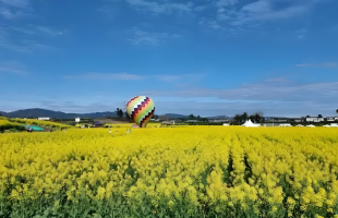 从“赏花经济”到“四季经济”  ——“经济新活力”系列评  