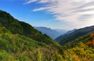 违法组织穿越秦岭，判了！   