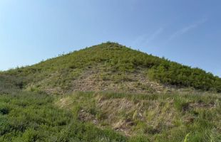 煤矸石山披绿装！鸡西减污降碳协同创新试点建设显成效  