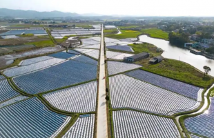 苦熬与苦干（人民论坛）    