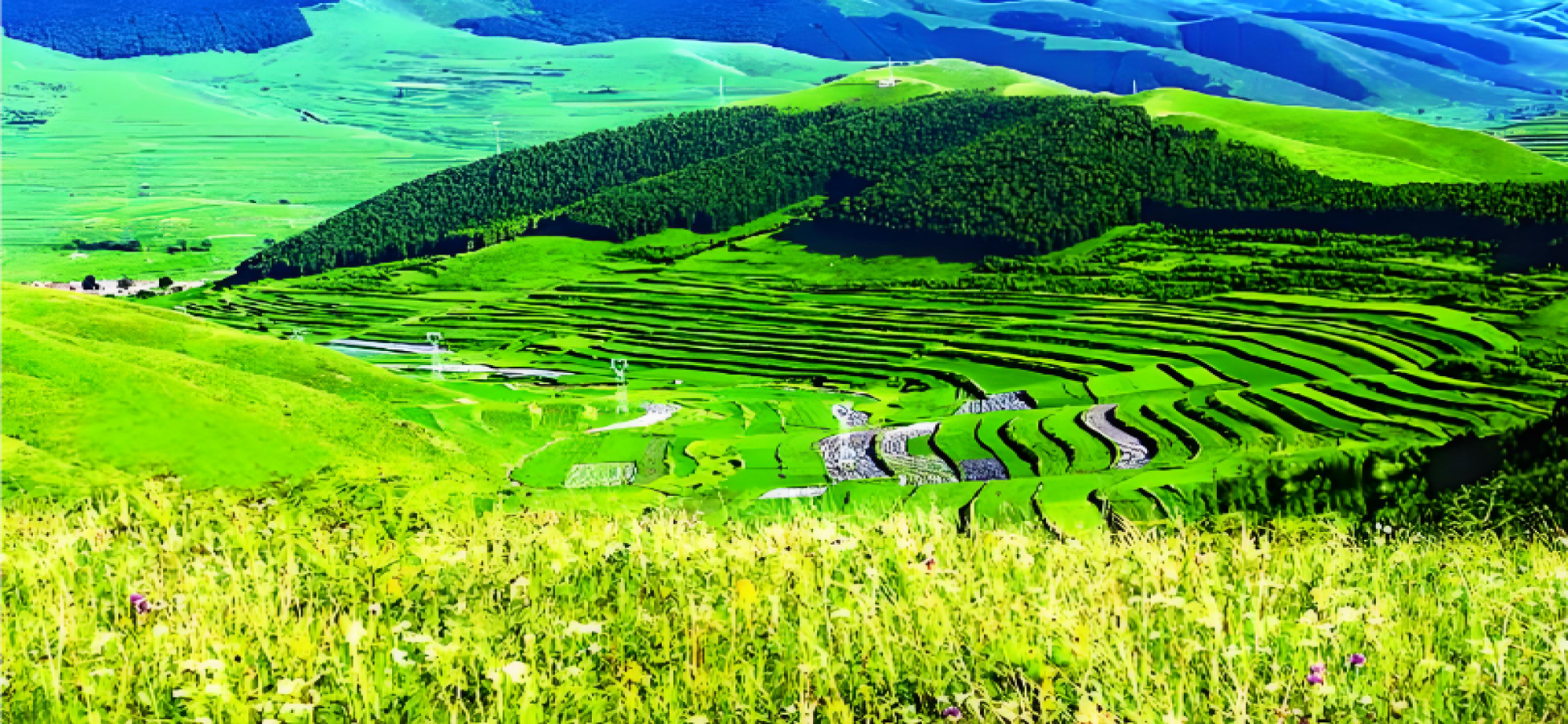 法典实施，将加速跨行政区生态保护补偿机制法治化进程