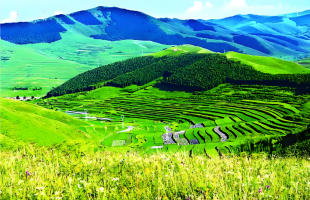 如何更精准地刻画“一片叶子”“一方水土”的生态贡献？  