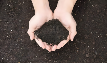 科技为犁，耕护黑土粮仓    