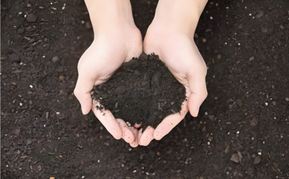 科技为犁，耕护黑土粮仓    