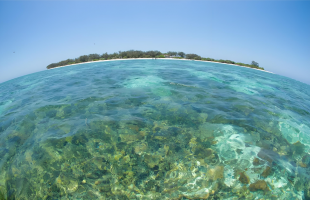 我国首次发布东部海域“海底化学元素图” 