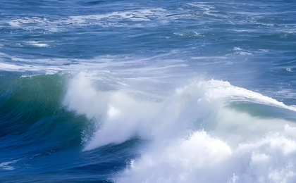 朵朵浪花汇聚起大海的澎湃  
