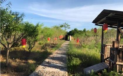 亿缕阳光·乡见｜向往的生活  