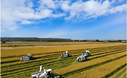 “中国式现代化离不开农业农村现代化”   