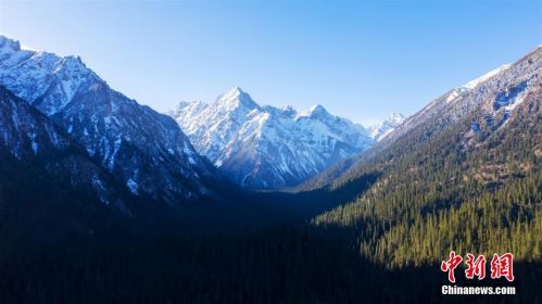 1574034485690.jpg 1574034485690.jpg