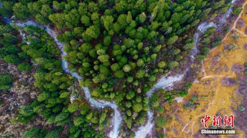 1574034485865.jpg 1574034485865.jpg