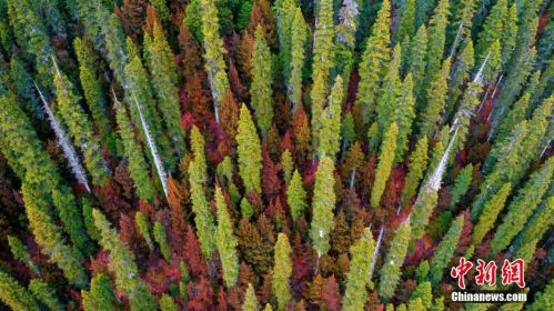 1574034485542.jpg 1574034485542.jpg