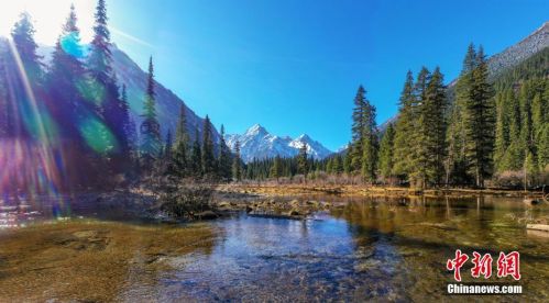 1574034485537.jpg 1574034485537.jpg