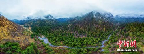 1574034485712.jpg 1574034485712.jpg