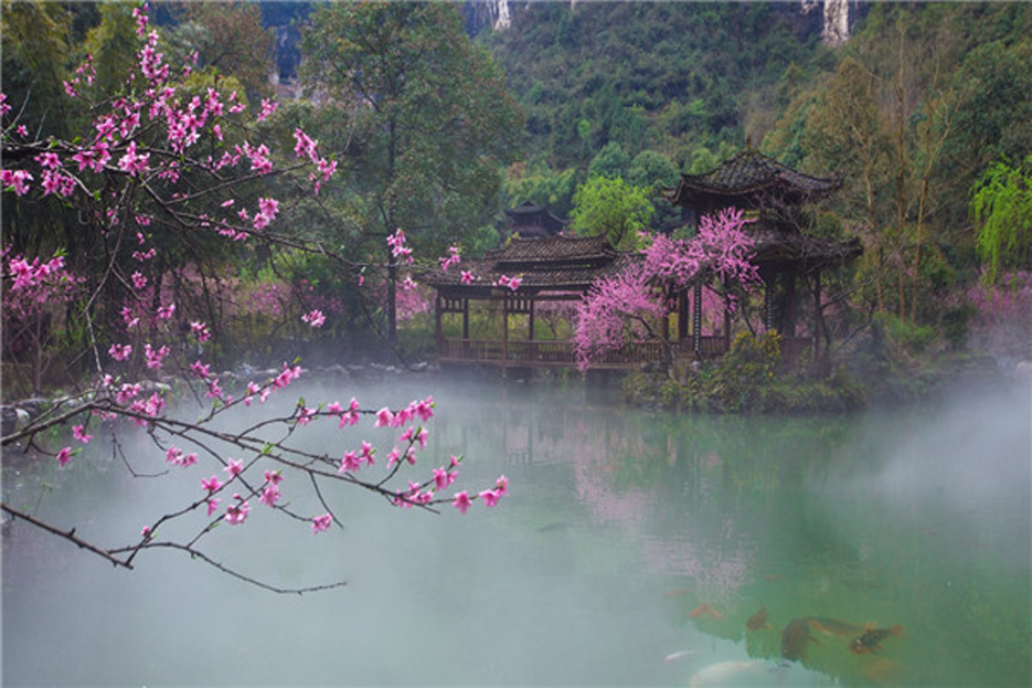 20190227133020962493764.jpg 20190227133020962493764.jpg