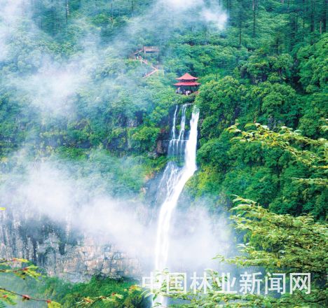 4ccc6a76aba61f33114c62.jpg 4ccc6a76aba61f33114c62.jpg