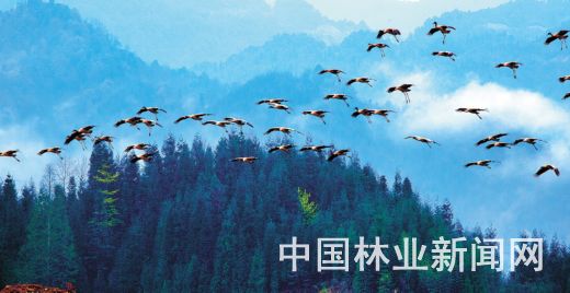 4ccc6a76aba61f3311d504.jpg 4ccc6a76aba61f3311d504.jpg