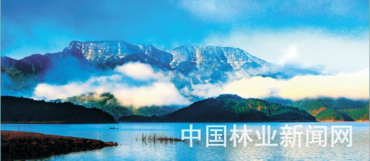 4ccc6a76aba61f3311e705.jpg 4ccc6a76aba61f3311e705.jpg