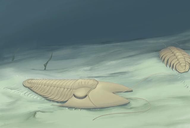 d53f8794a4c27d1edb12ac2666090769dcc4387b.jpeg d53f8794a4c27d1edb12ac2666090769dcc4387b.jpeg