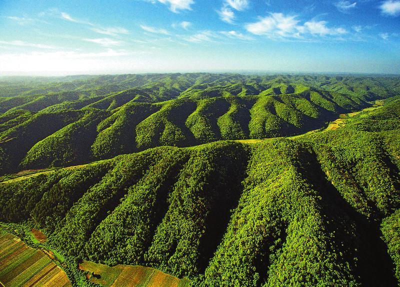 天然林.jpg 天然林.jpg