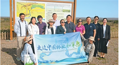 在乌兰布和沙漠黄.png