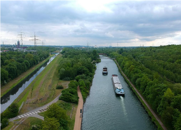 1761635848320625.png 2019年5月10日,.png