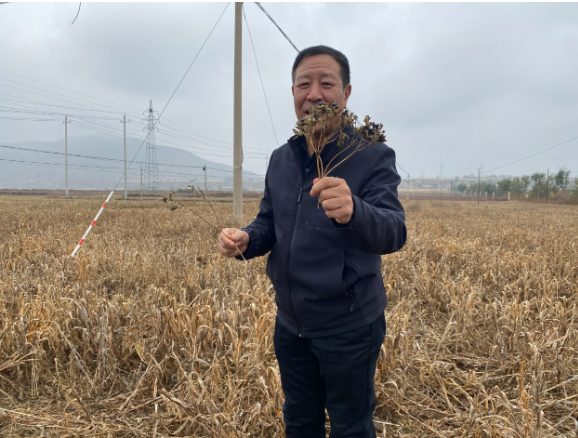 1762237402830803.png 图为河北蔚.png