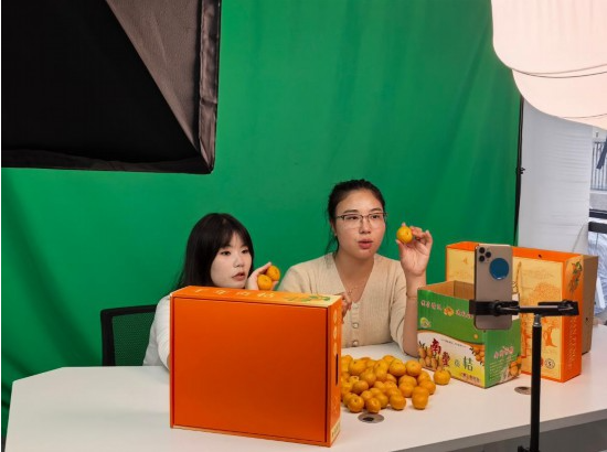 1762243370356307.png 在江西省抚州市南丰.png