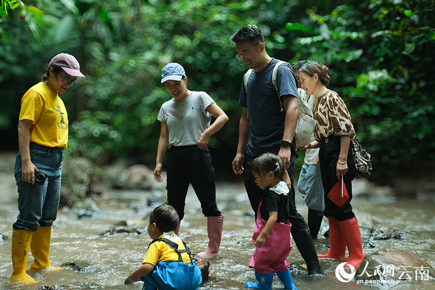 1763092761315875.jpg 基诺山雨林徒步,正.jpg